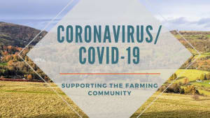 Coronavirus and farming